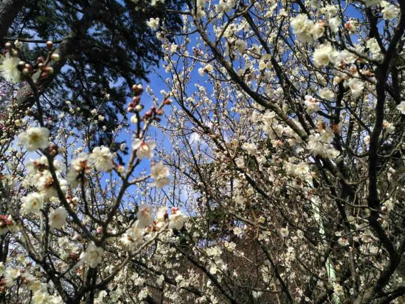 这篇旅游攻略帮你深入了解日本热海3