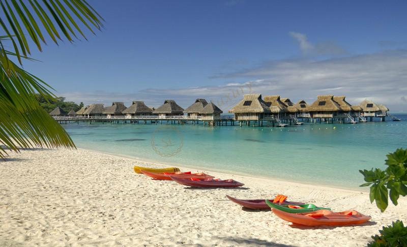 去斯里兰卡旅游这些注意事项你知道吗2