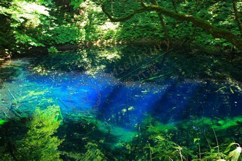 日本青森旅游有哪些需要注意的事项2