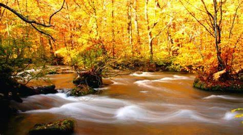 日本青森旅游有哪些需要注意的事项5