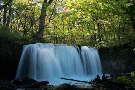 去青森旅游需要多少花费，青森旅游费用2