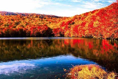 去青森旅游需要多少花费，青森旅游费用3