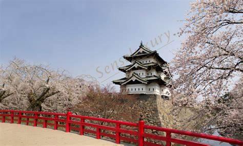 去青森旅游需要多少花费，青森旅游费用4