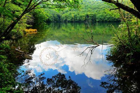 去青森旅游需要多少花费，青森旅游费用6