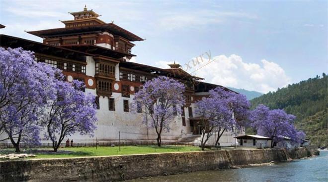 几月份适合去不丹旅游，不丹旅游最佳时间1