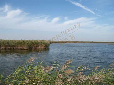 莫干山旅游景点介绍，这些网红景点你一定得去看看！6