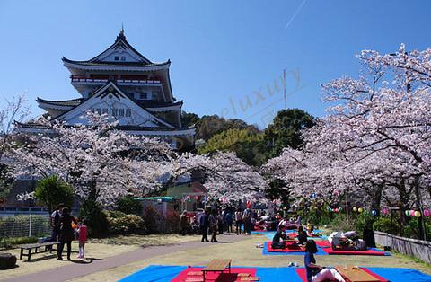 日本热海经典两日自由行路线推荐4