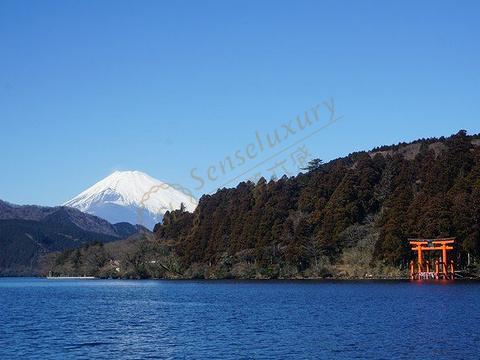箱根1日自由行路线分享，给大家做个参考4