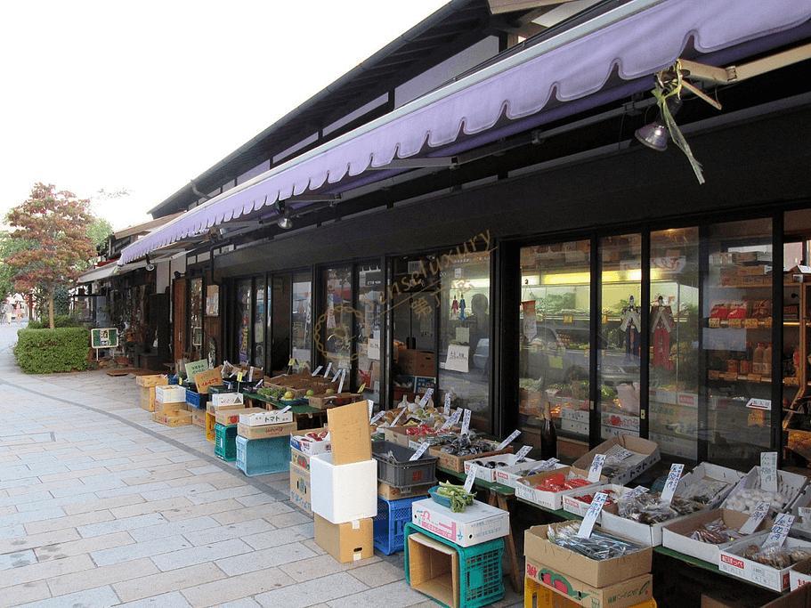 不知道去箱根怎么玩？这篇旅行攻略给你最全的参考！4