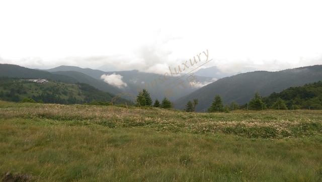 长野自由行路线推荐!来一场跟别人不一样的旅行吧!4