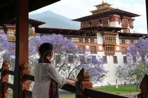 不丹适合几天自由行，不丹自由行路线推荐7