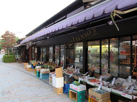 在箱根旅行，想购买一些有趣的伴手礼回家4