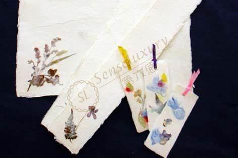 长野购物篇，在这儿该怎么买更划算2