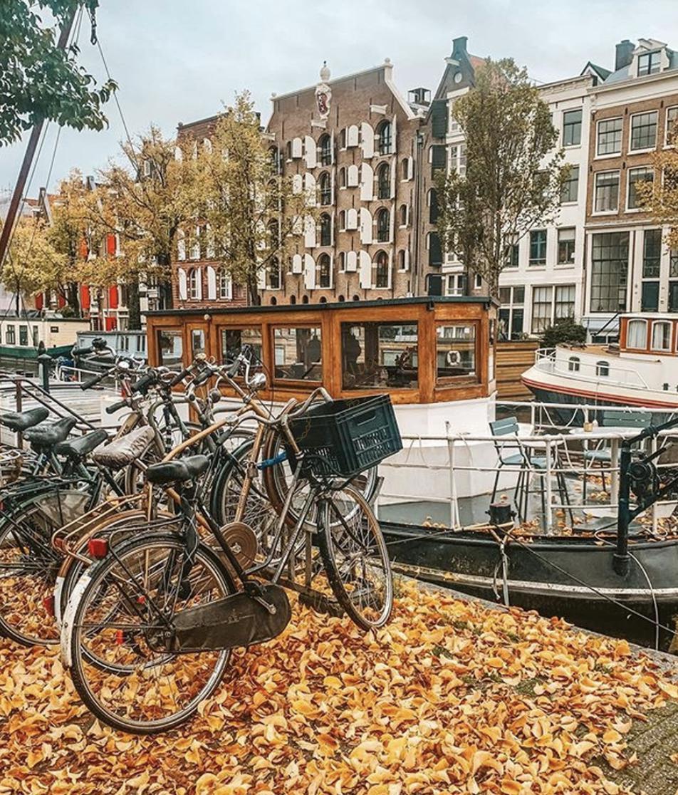 在荷兰自由行，感受风车和郁金香的童话世界1