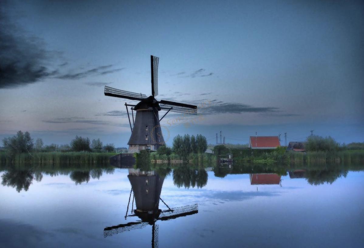 在荷兰自由行，感受风车和郁金香的童话世界2