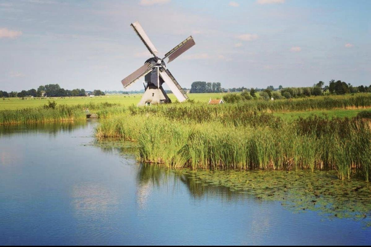 在荷兰自由行，感受风车和郁金香的童话世界3