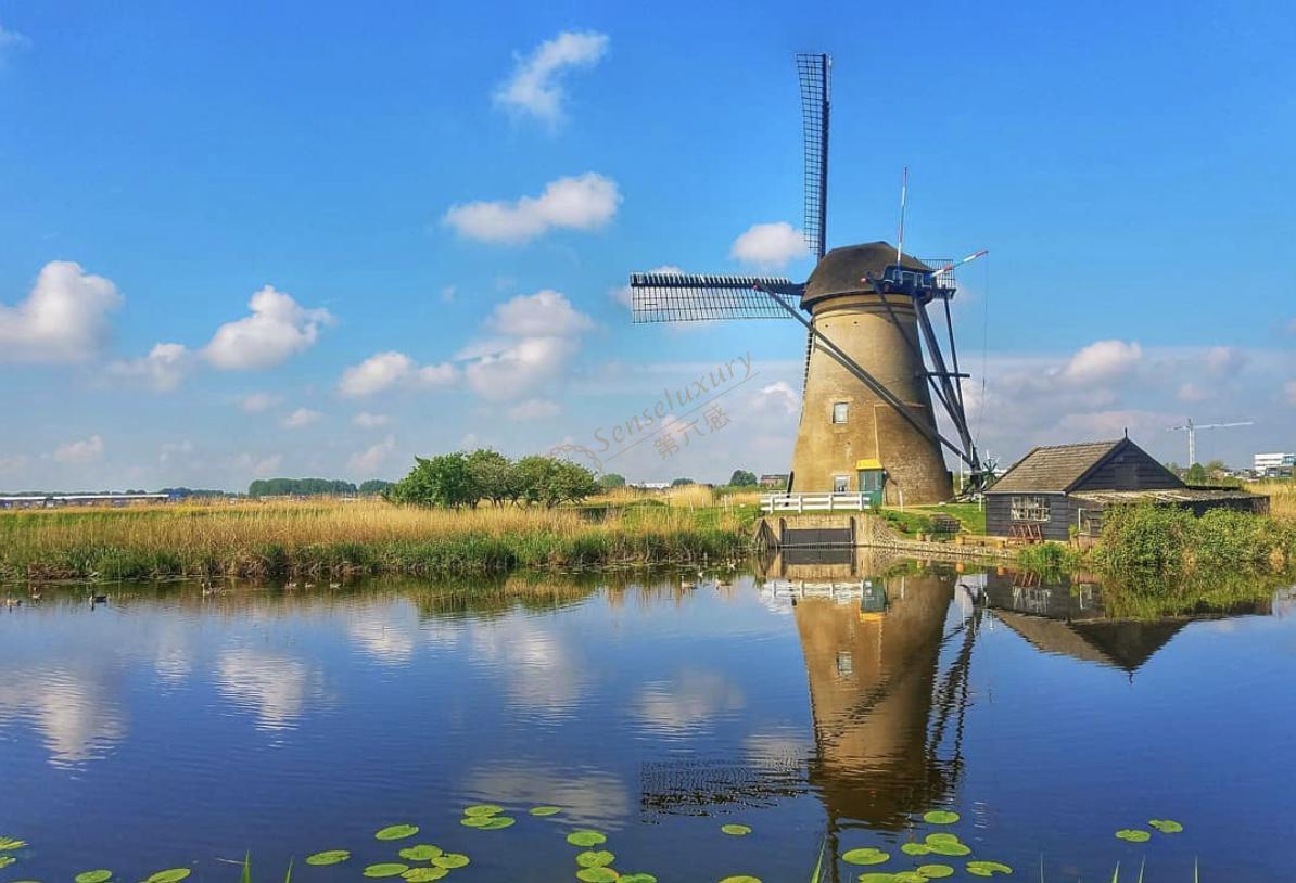 在荷兰自由行，感受风车和郁金香的童话世界4