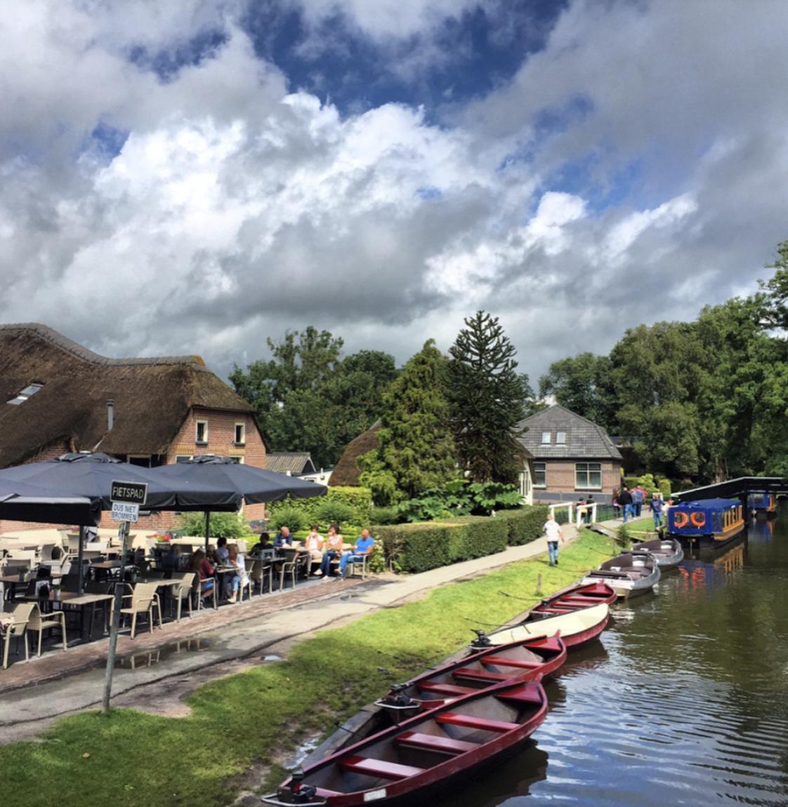 在荷兰自由行，感受风车和郁金香的童话世界6
