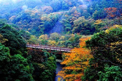 一年四季，你还在纠结箱根旅游最佳时间是什么时候吗？6