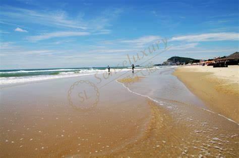 总结一些头顿旅行应注意的事情4