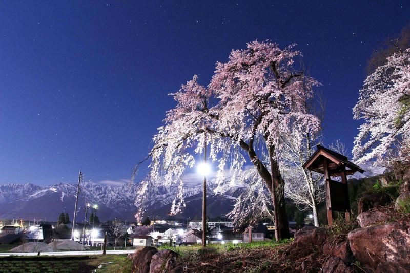 长野旅游，原来这时间段才是最佳的时间！3