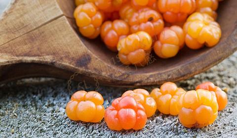 去芬兰旅行，吃货留步！芬兰特色美食攻略不容错过3