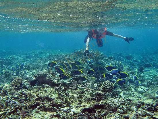 去塞舌尔怎么玩？塞舌尔最新旅游攻略分享5