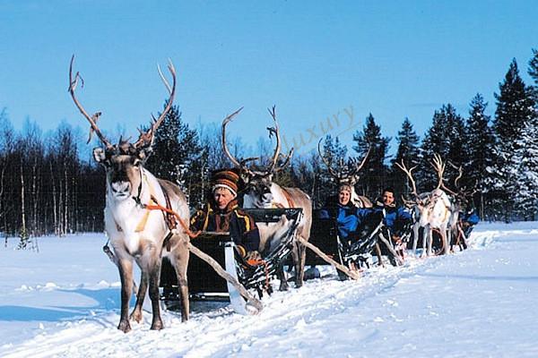 去芬兰旅游一趟多少钱？芬兰旅游费用提前知！4