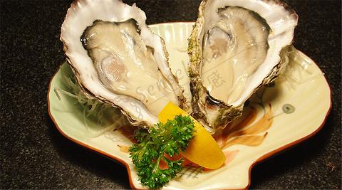 在皇后镇度假有哪些值得一尝的美食呢？6