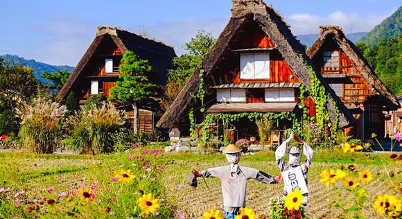 全年都适合旅行的金泽，此生必来一次！4