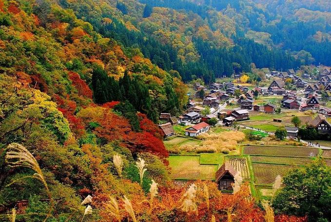 全年都适合旅行的金泽，此生必来一次！6