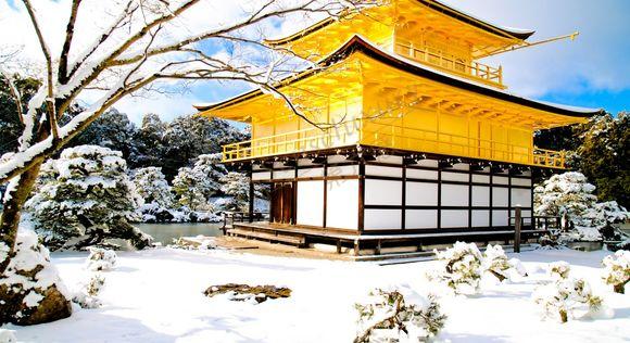 全年都适合旅行的金泽，此生必来一次！7