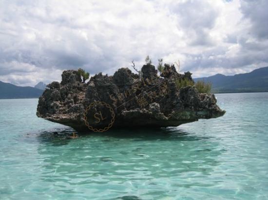 关于毛里求斯旅游的注意事项你知道多少!4