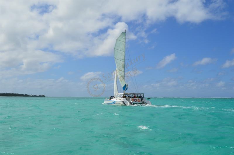 最新毛里求斯蜜月度假攻略，吃喝玩乐一网打尽！5