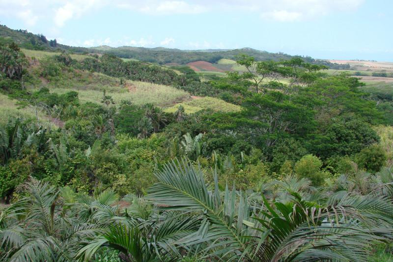 盘点去毛里求斯旅游那些必打卡的网红景点3