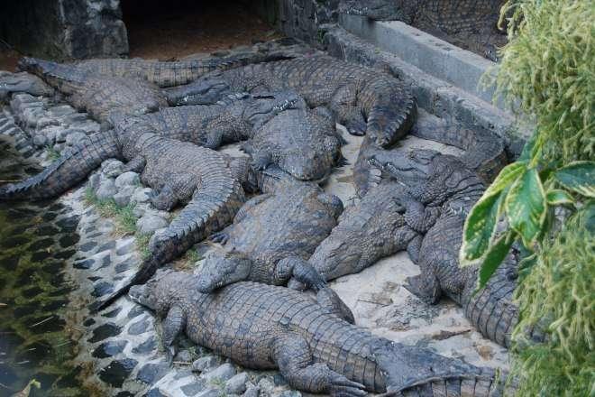 盘点去毛里求斯旅游那些必打卡的网红景点4