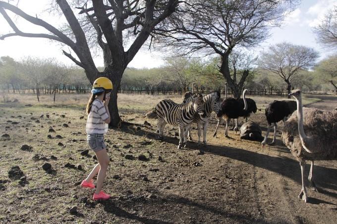 盘点去毛里求斯旅游那些必打卡的网红景点5