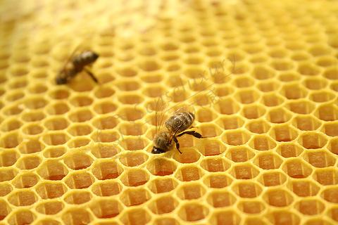 黄金海岸旅游买一些什么，怎样选购适合？3