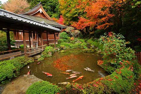 名古屋枫叶季是什么时候？来看看这篇攻略就知道了1