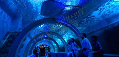 青森休闲两日游，青森自由行路线推荐2