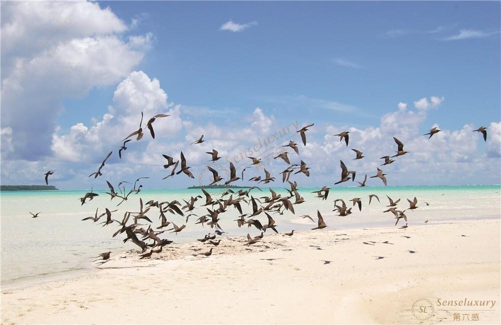 开启全新大溪地度假玩法，最全自由行路线推荐1