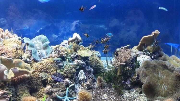 名古屋旅游景点介绍，这些地方是打卡的好去处4