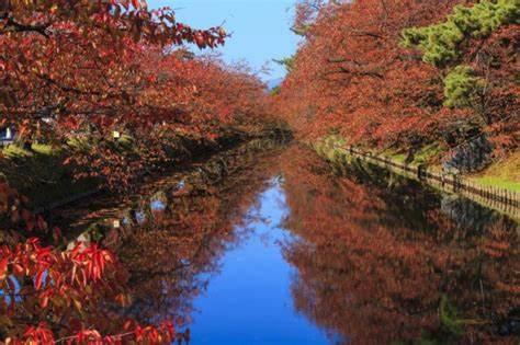 青森枫叶季是什么时候，青森枫叶季攻略2