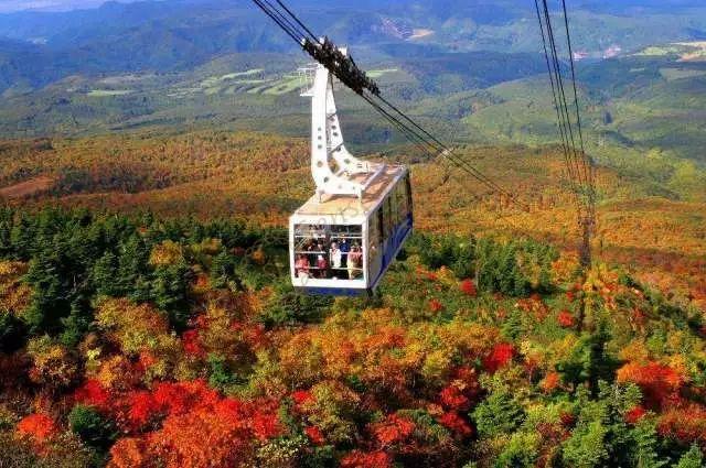 青森枫叶季是什么时候，青森枫叶季攻略3