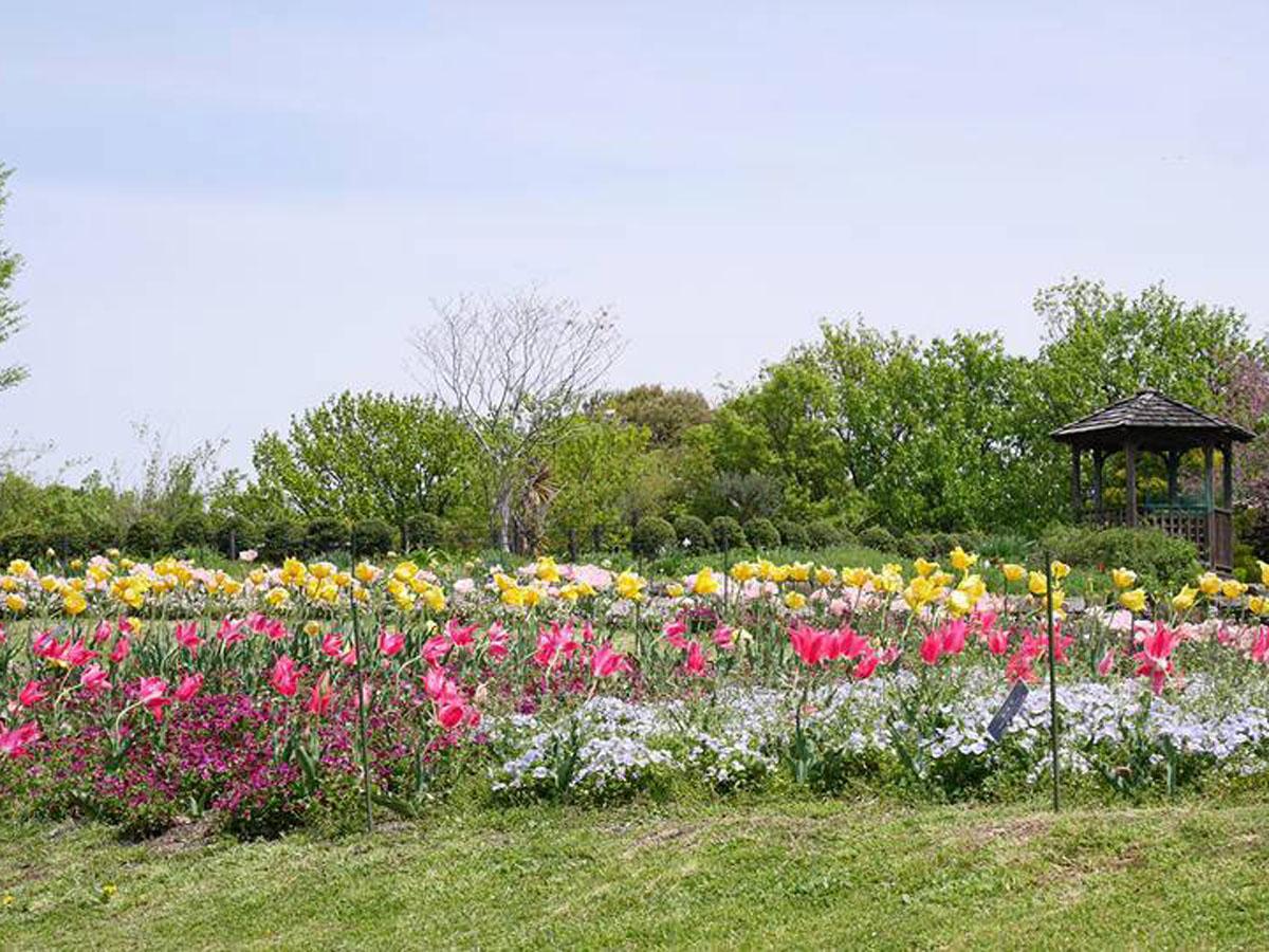 最新名古屋两日自由行路线推荐3