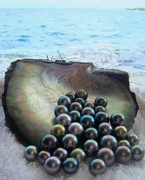 大溪地，一年四季旅游都是最佳时间的一个地方！2