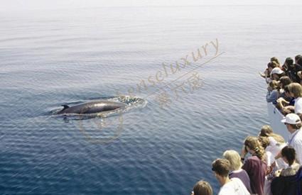 大溪地，一年四季旅游都是最佳时间的一个地方！4