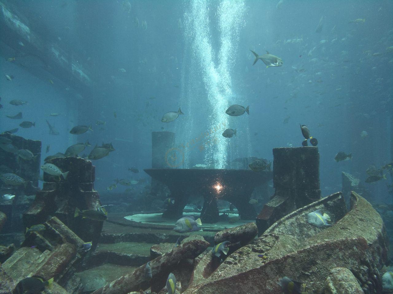 除了有钱与繁华，这些迪拜旅游景点也值得你留恋！4