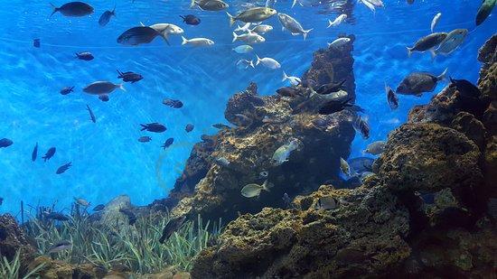 来看看来巴塞罗那旅游有哪些特色景点吧！6