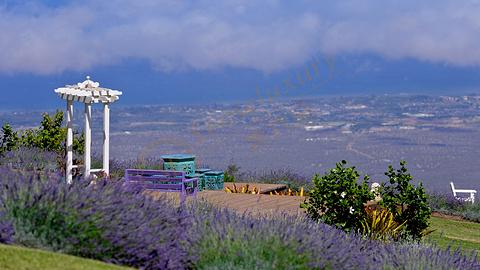 买买买,夏威夷购物清单绝对让你满载而归!8